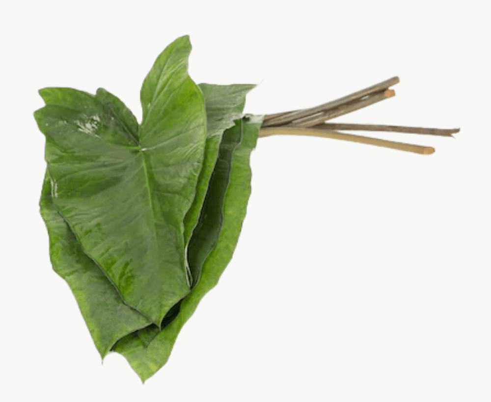 Fresh Aluche Pan (Colocasia Leaves)