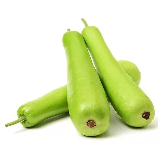 Fresh Bottle Gourd (Lauki / Doodhi)