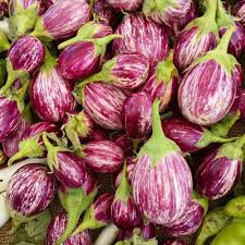 Fresh Purple Brinjal (Baingan)