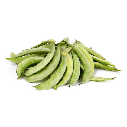 Fresh Broad Beans (Fava Beans)