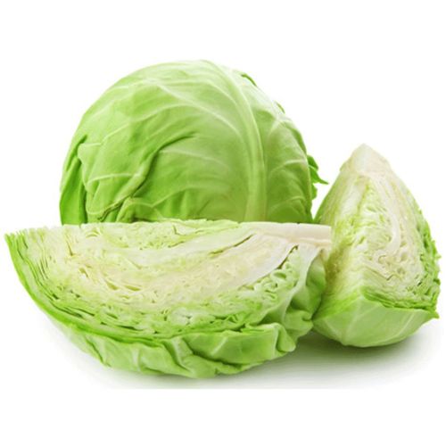 Fresh Green Cabbage