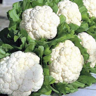 Fresh Cauliflower (Phool Gobi)