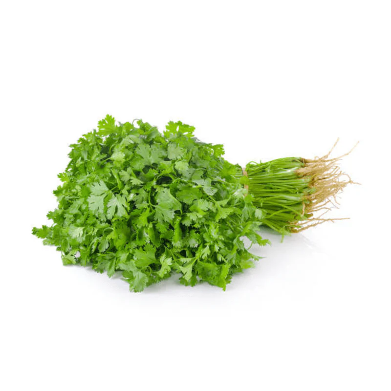 Fresh Coriander Leaves (Kothimbir)