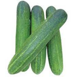Fresh Crisp Cucumber (Kakdi)