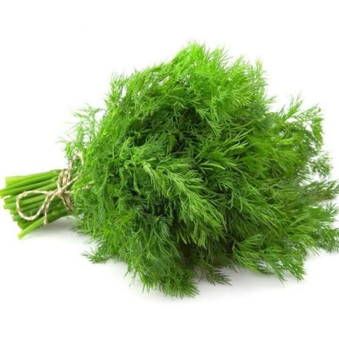 Fresh Dill Leaves (Shepu)