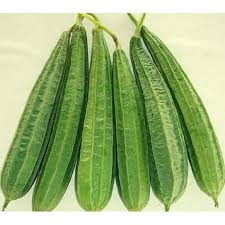 Fresh Dodka (Ridge Gourd)