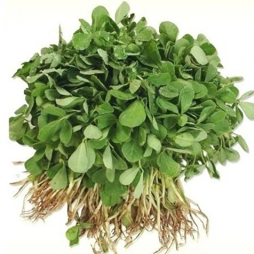 Fresh Green Fenugreek (Methi)