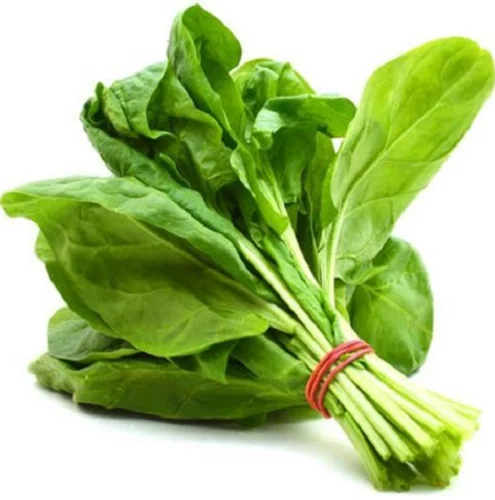 Fresh Organic Spinach (Palak)