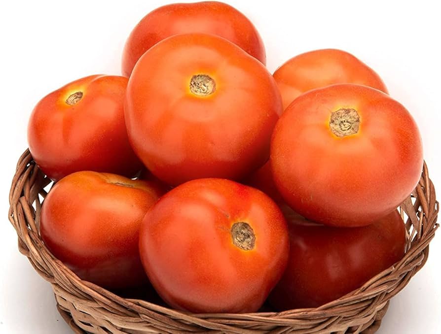 Fresh Red Tomatoes